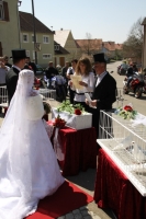 Bild14