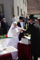 Bild15