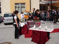 Bild19