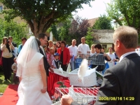 Bild7