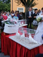 Bild5