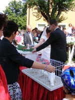 Bild4