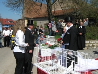 Bild9
